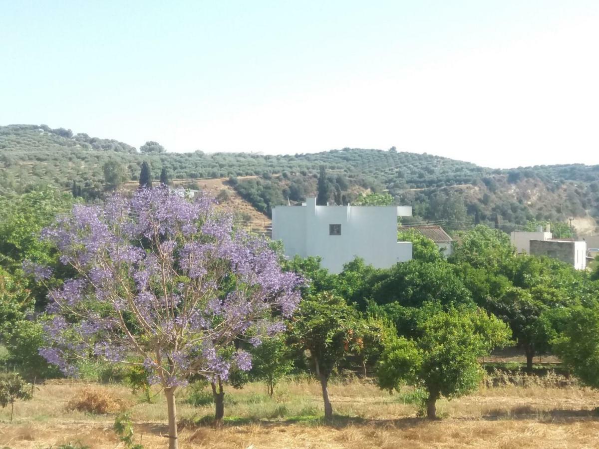 Vrondos Apartments Faneromeni  Kültér fotó